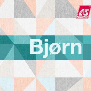 Álbum Bjorn