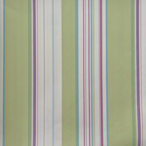 Classic Stripes ct889106