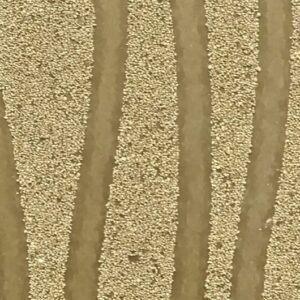 Mica JVN - AP20001_1