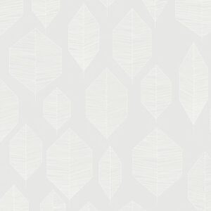 Colibri 362093