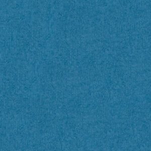 Colibri 366293